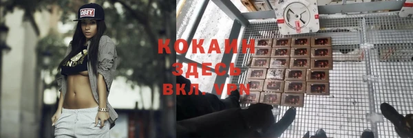 гидропоника Арсеньев