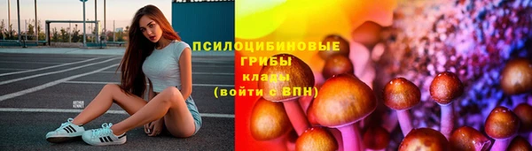 2c-b Касимов
