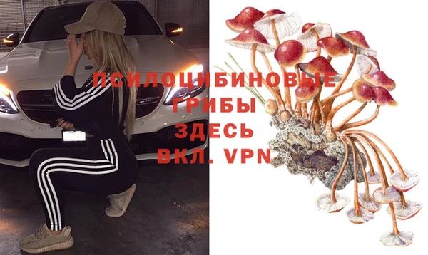 мескалин Аркадак