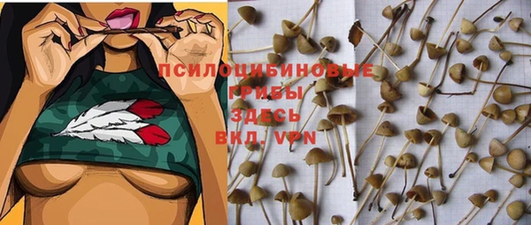 гидропоника Арсеньев